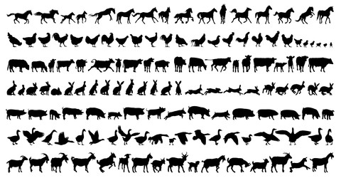 Similar image 22091621