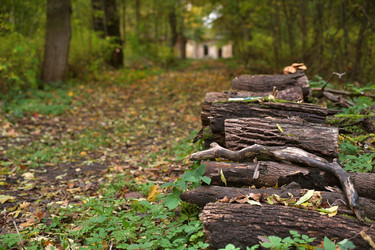 Similar image 22089221