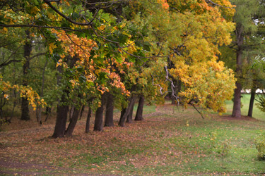 Similar image 22089223