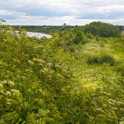 Similar image 22089239