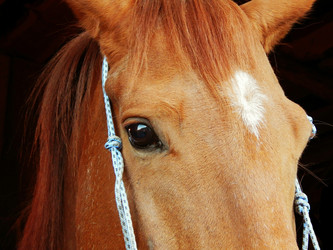 Similar image 22091622