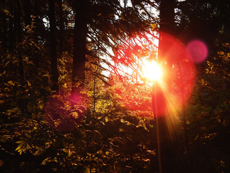 Similar image 22091626