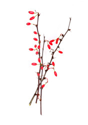 Similar image 22091313