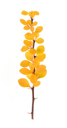 Similar image 22091315