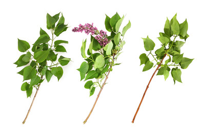 Similar image 22091321