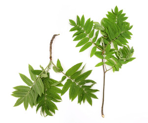 Similar image 22091323