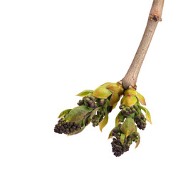 Similar image 22091340