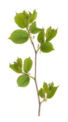 Similar image 22091345