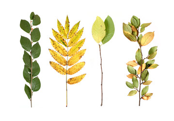 Similar image 22091347