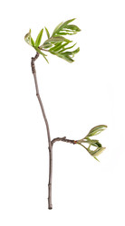 Similar image 22091349