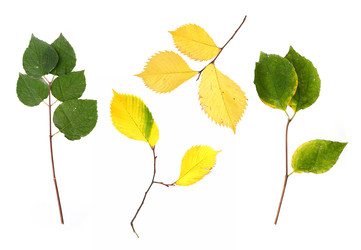 Similar image 22091350