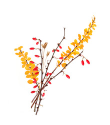 Similar image 22091352