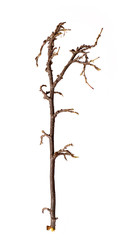 Similar image 22091354