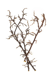 Similar image 22091356