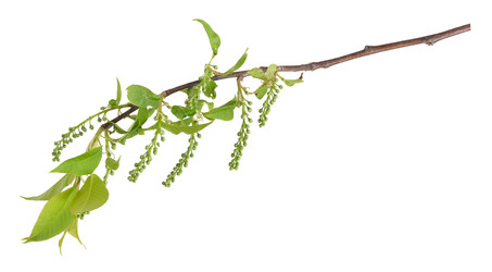 Similar image 22091362