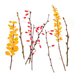 Similar image 22091363