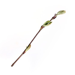 Similar image 22091365