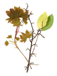 Similar image 22091368