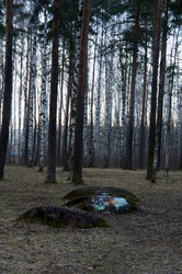 Similar image 22091632