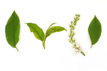 Similar image 22091278