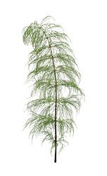 Similar image 22091296