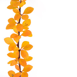 Similar image 22091301