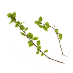 Similar image 22091307