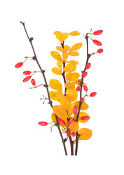 Similar image 22091308