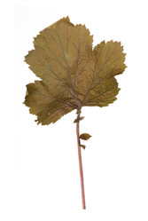 Similar image 22091311