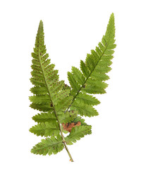 Similar image 22091325