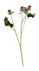 Similar image 22091327