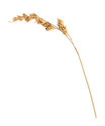 Similar image 22091332