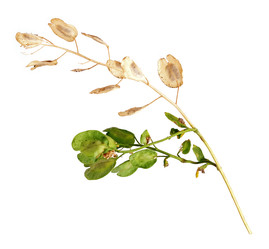 Similar image 22091372