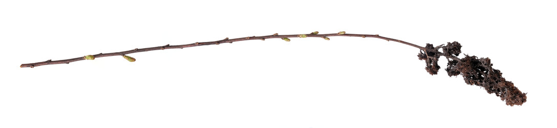 Similar image 22091374