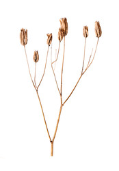 Similar image 22091376