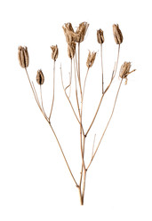 Similar image 22091377