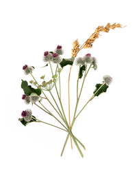 Similar image 22091380