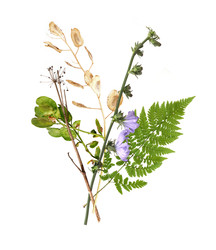 Similar image 22091381