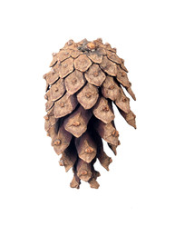 Similar image 22091384