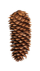 Similar image 22091389