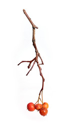 Similar image 22091412