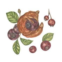 Similar image 22092352