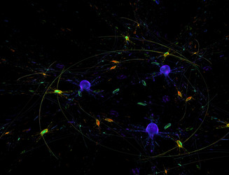 Similar image 22091950