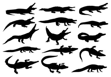 Similar image 22091666