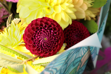 Similar image 22091670