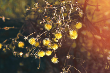 Similar image 22091677