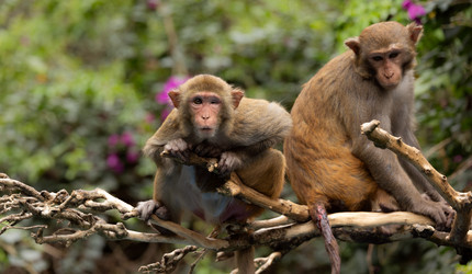 Similar image 22092556