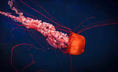 Similar image 22092557