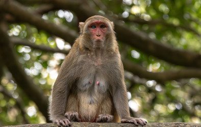 Similar image 22092560