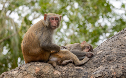 Similar image 22092562